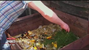 New York City considering expanding composting rules