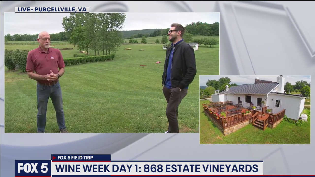 FOX 5 FIELD TRIP: 868 Estate Vineyards in DC's Wine Country