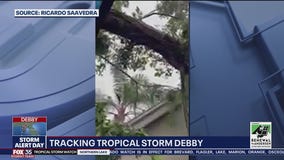 'I heard this huge boom': Tree hits man's house amid Debby