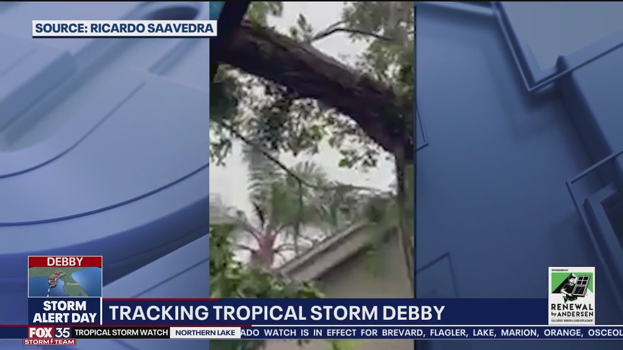 'I heard this huge boom': Tree hits man's house amid Debby