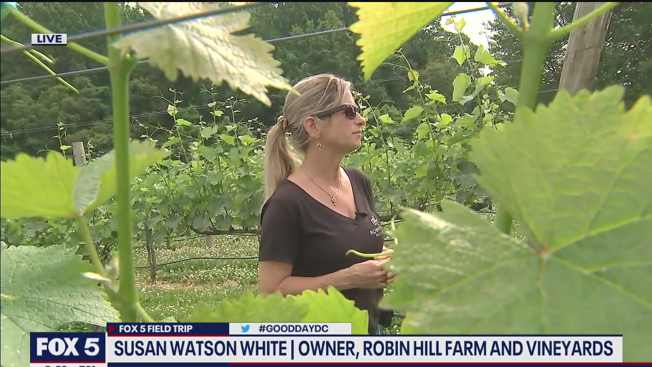 FOX 5 FIELD TRIP: Fun at Robin Hill Farm and Vineyards