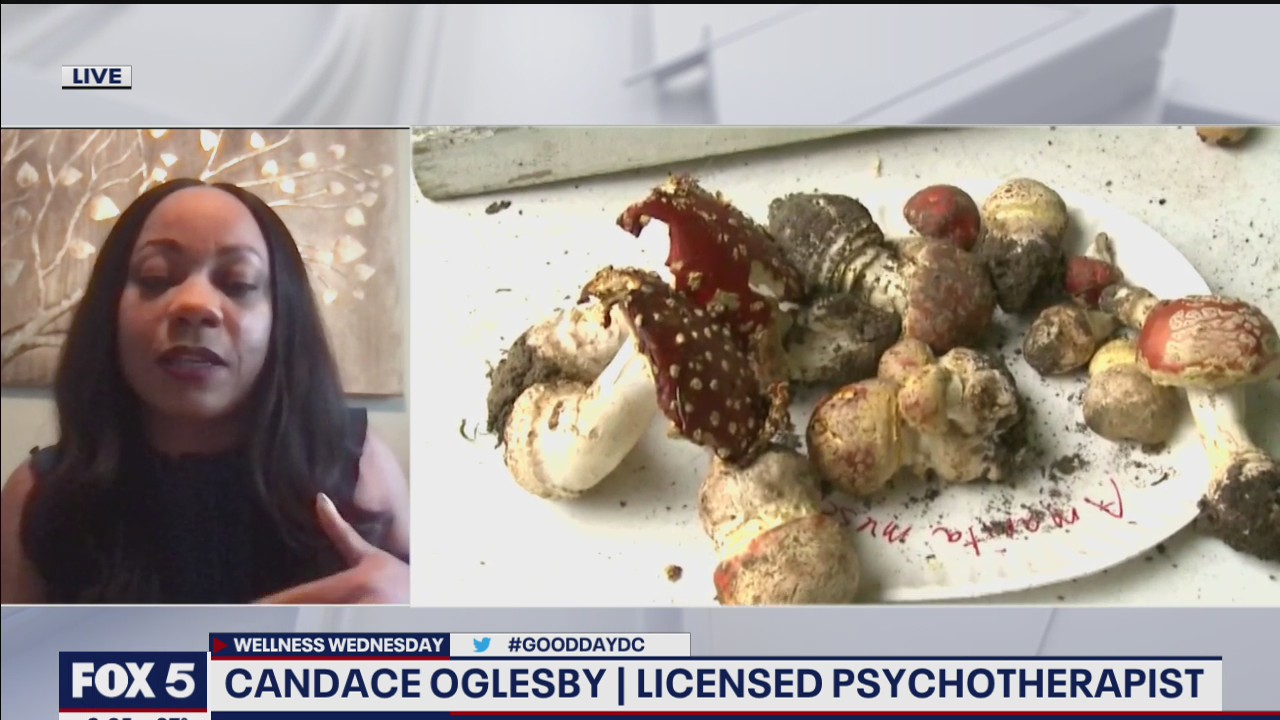 Psychedelic drugs that can be used to treat mental health issues