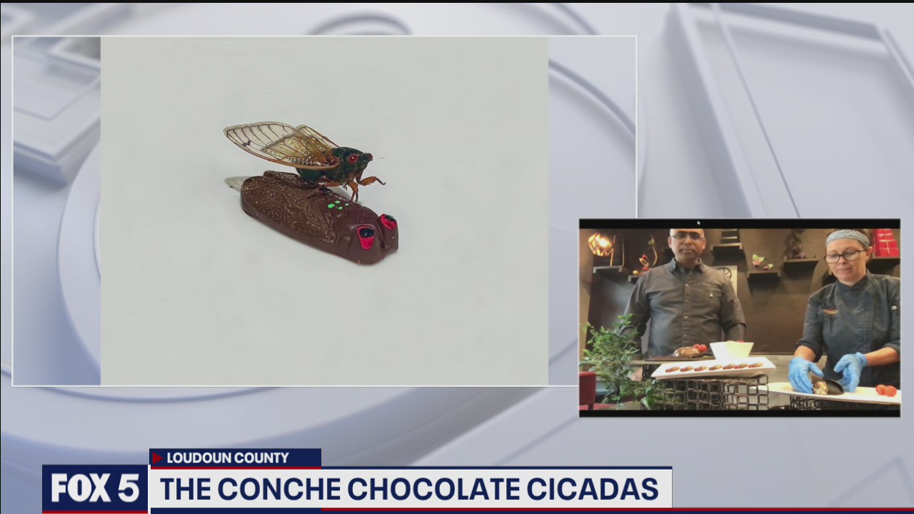 Loudoun County restaurants debuts chocolate-covered cicada