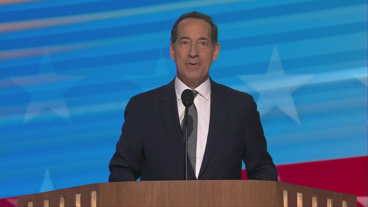Rep. Jamie Raskin speaks at 2024 DNC