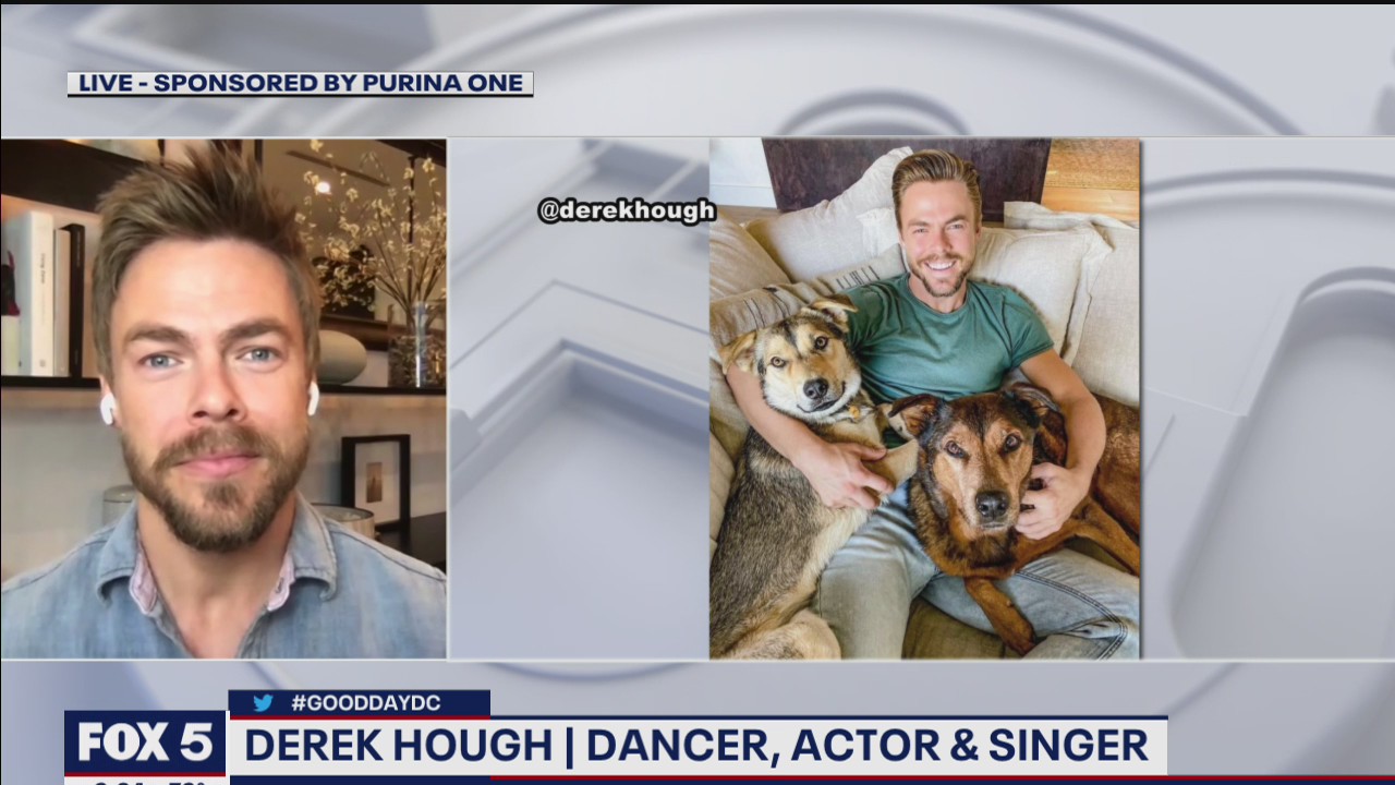 Derek Hough talks keeping pets healthy and happy