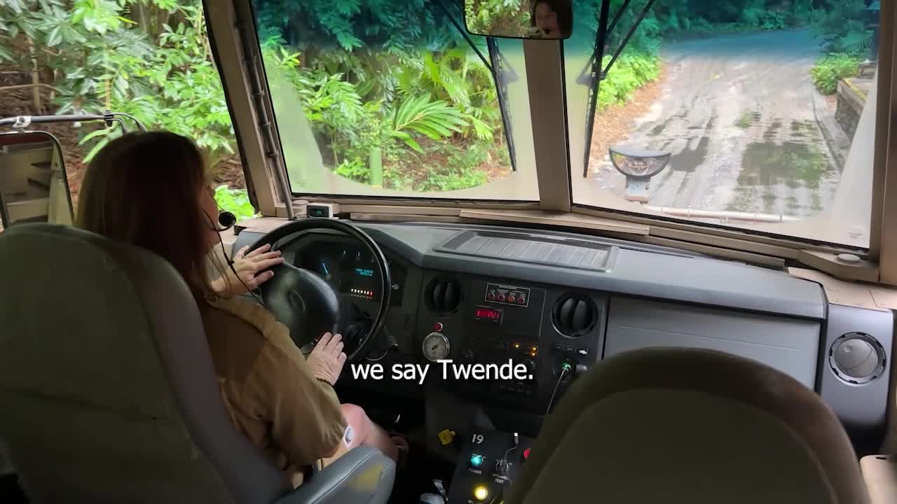 Inside Disney's Kilimanjaro Safaris: Meet Mollie