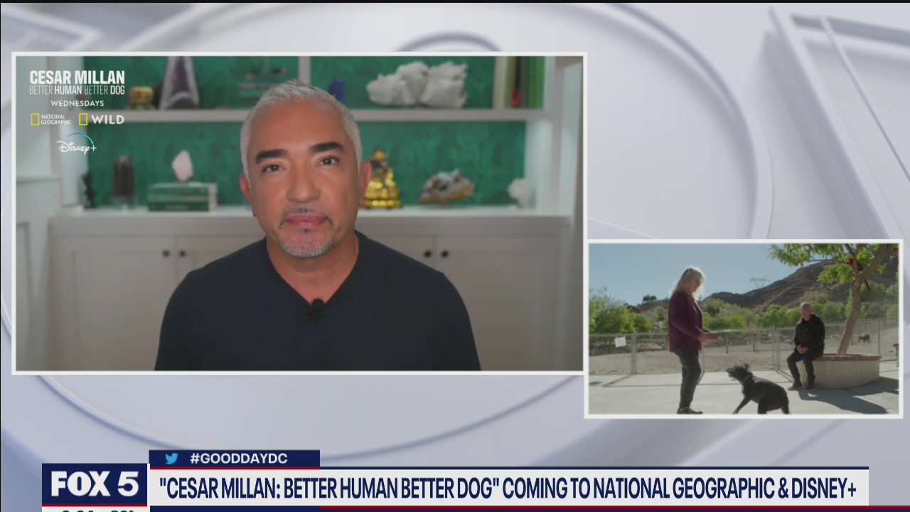 'Cesar Millan: Better Human Better Dog' coming to National Geographic and Disney+