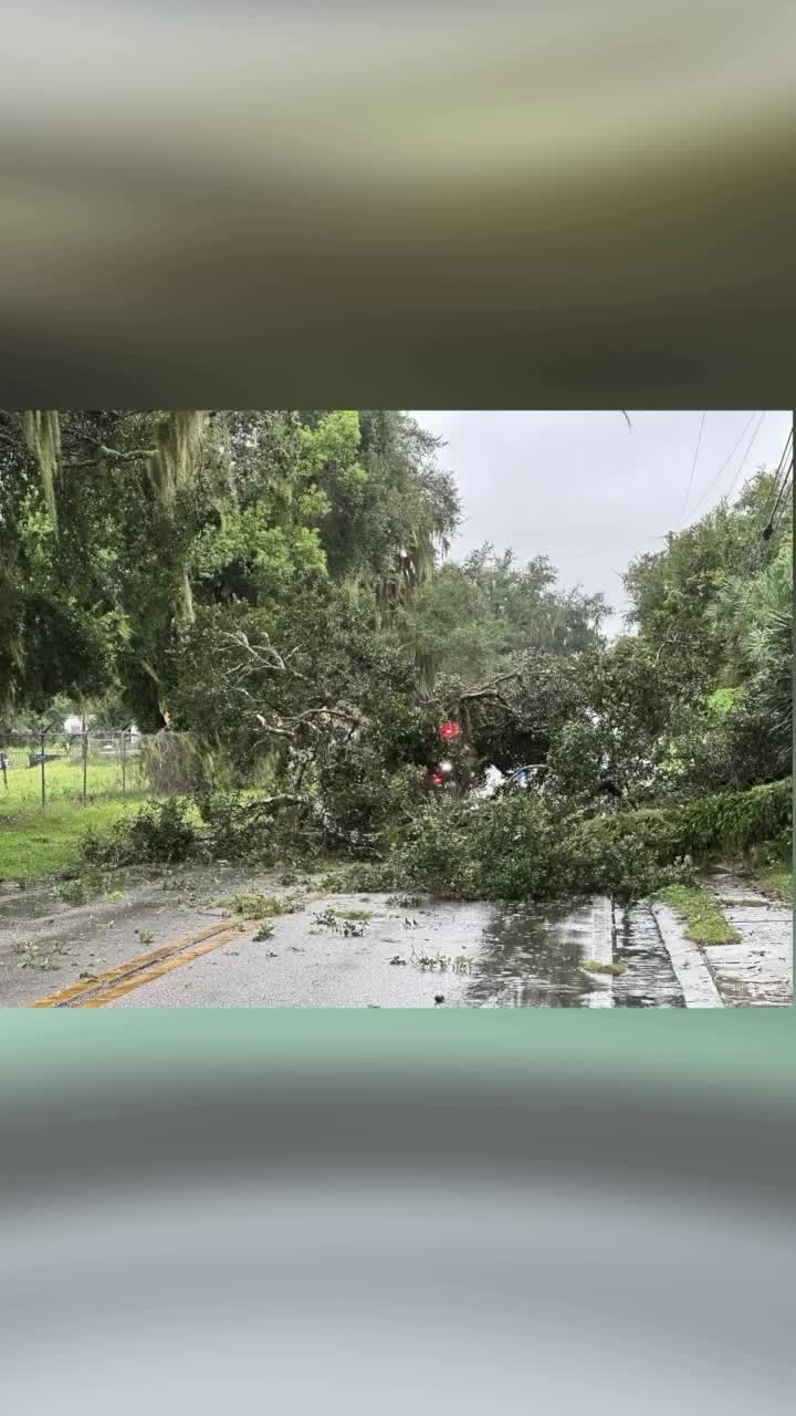 VIDEO: Tree falls on car ahead of Hurricane Milton