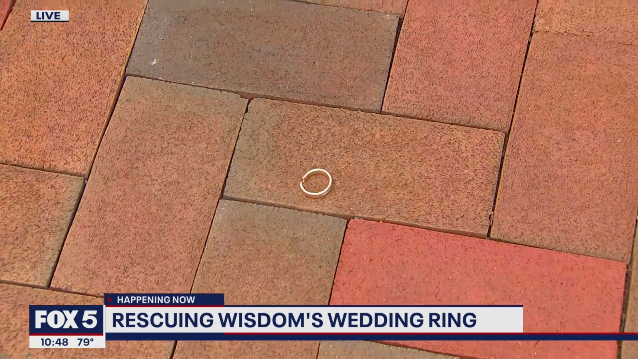 Widsom's wedding ring is rescued!