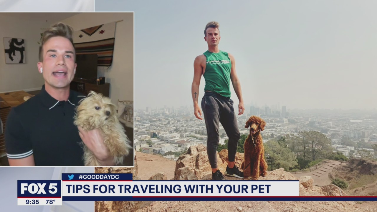 Tips for traveling with your pets on vacation