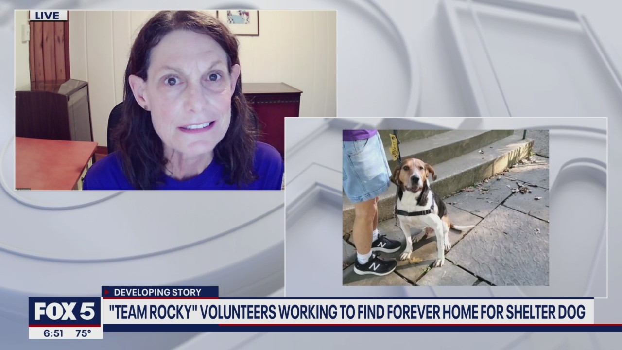 Finding Rocky his 'forever home' with Partnership for Animal Welfare