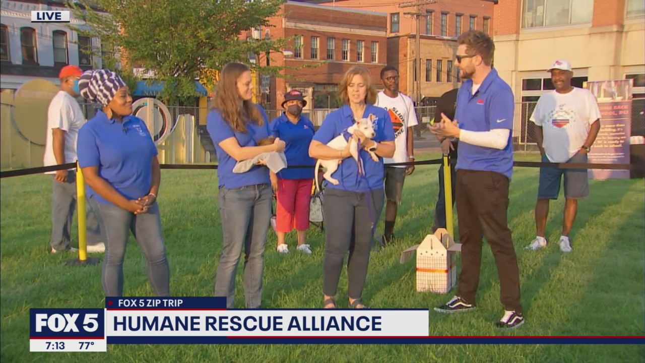 FOX 5 Zip Trip Anacostia: Humane Rescue Alliance | FOX 5 DC