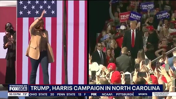 Kamala Harris, Donald Trump campaigning until Election Day