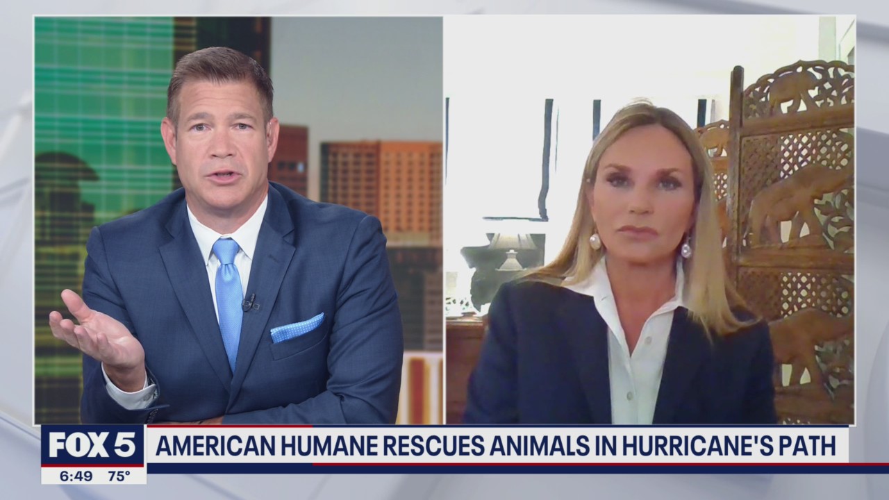 Pets rescued from Ida make way to DC region