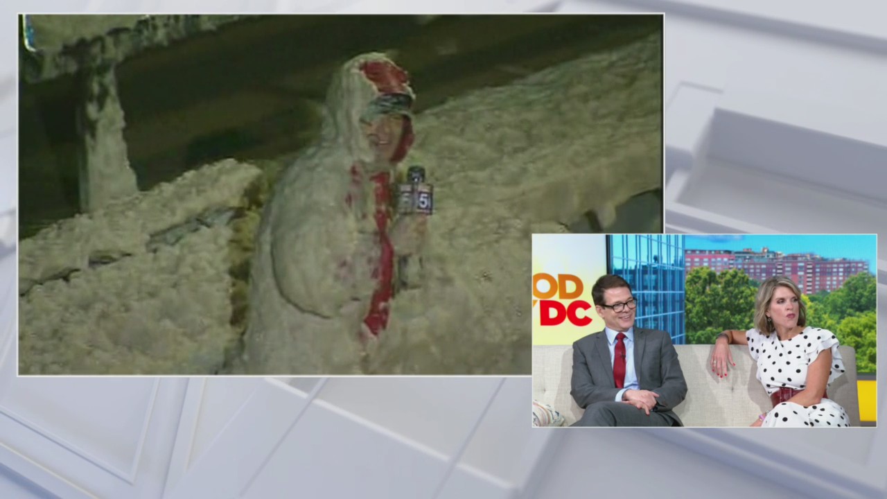 Sea Foam Forever on GoodDayDC AfterShow!
