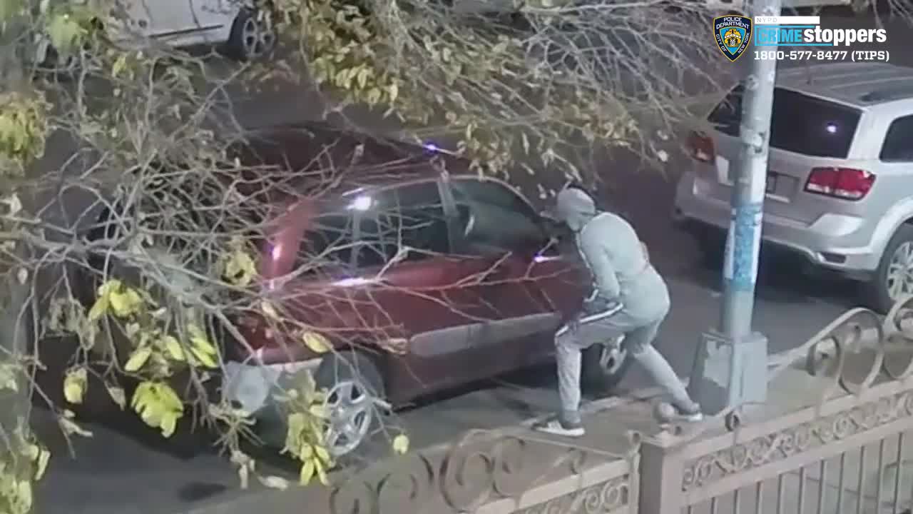 NYPD searching for suspect in assault, criminal mischief incidents in Brooklyn