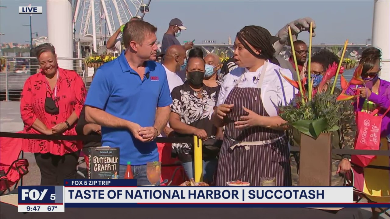 Zip Trip Finale National Harbor: Taste of National Harbor