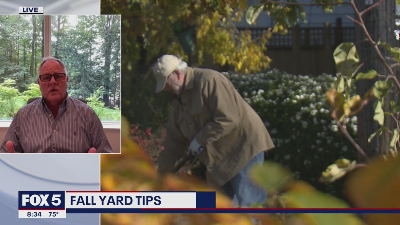 Tips to keep your yard beautiful this fall