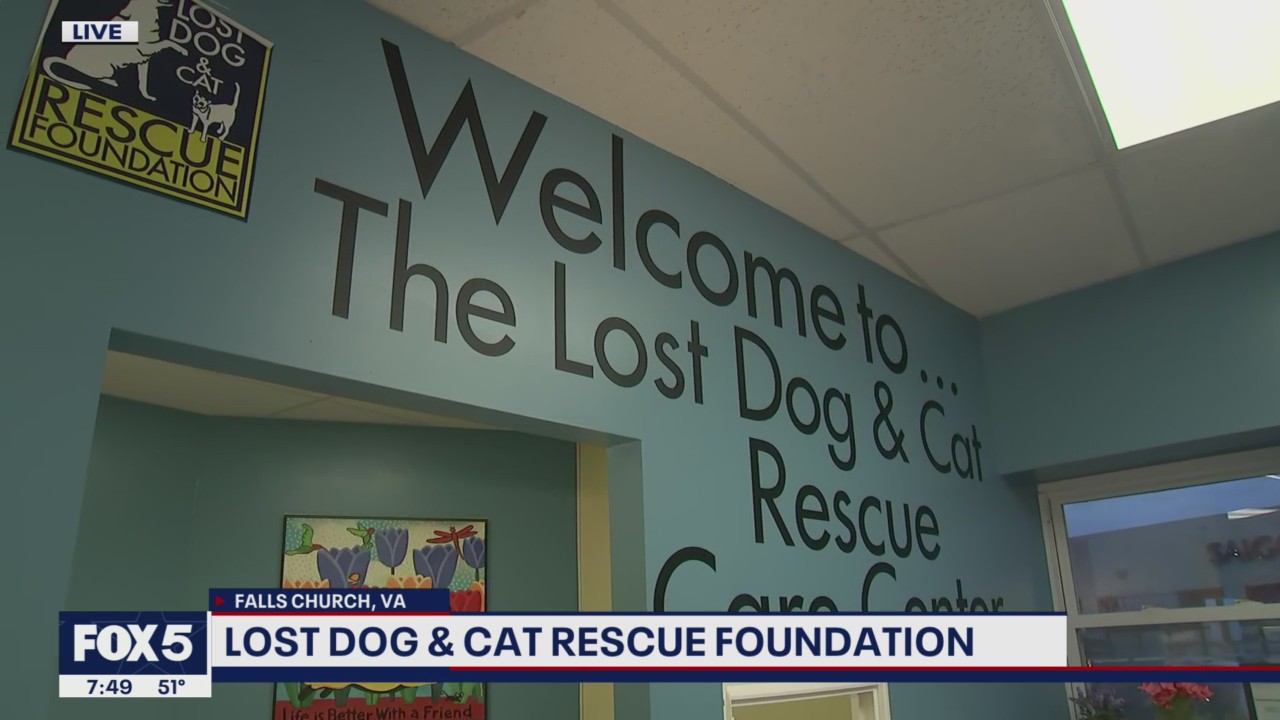 FOX FIVE FIELD TRIP: National Adopt a Senior Pet Month