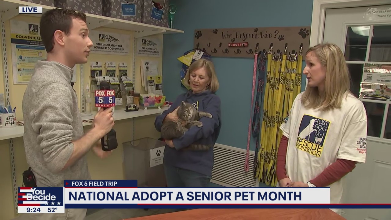 FOX FIVE FIELD TRIP: Find your furry friend for life at Lost Dog and Cat Rescue Foundation