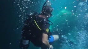 Nonprofit helps first responders, veterans 'dive' into healing