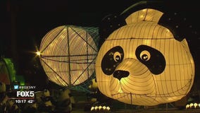 Hello Panda Festival arrives in New York City