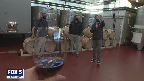 FOX 5 FIELD TRIP: The winemaking process at Windridge Vineyards