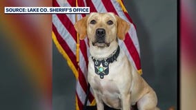 Florida K-9 officer finds loaded gun in student's backpack