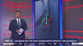 How will TikTok ban affect businesses and creators?