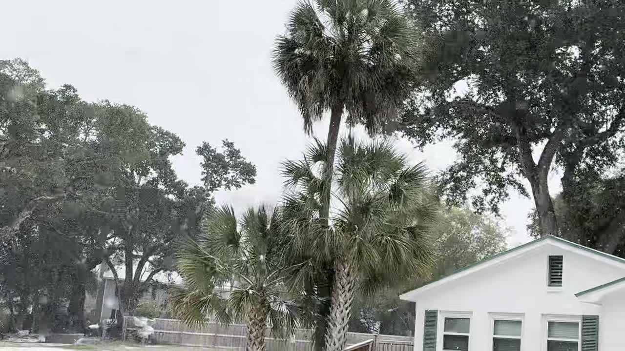 Snowfall caught on camera in Pensacola Neighborhood