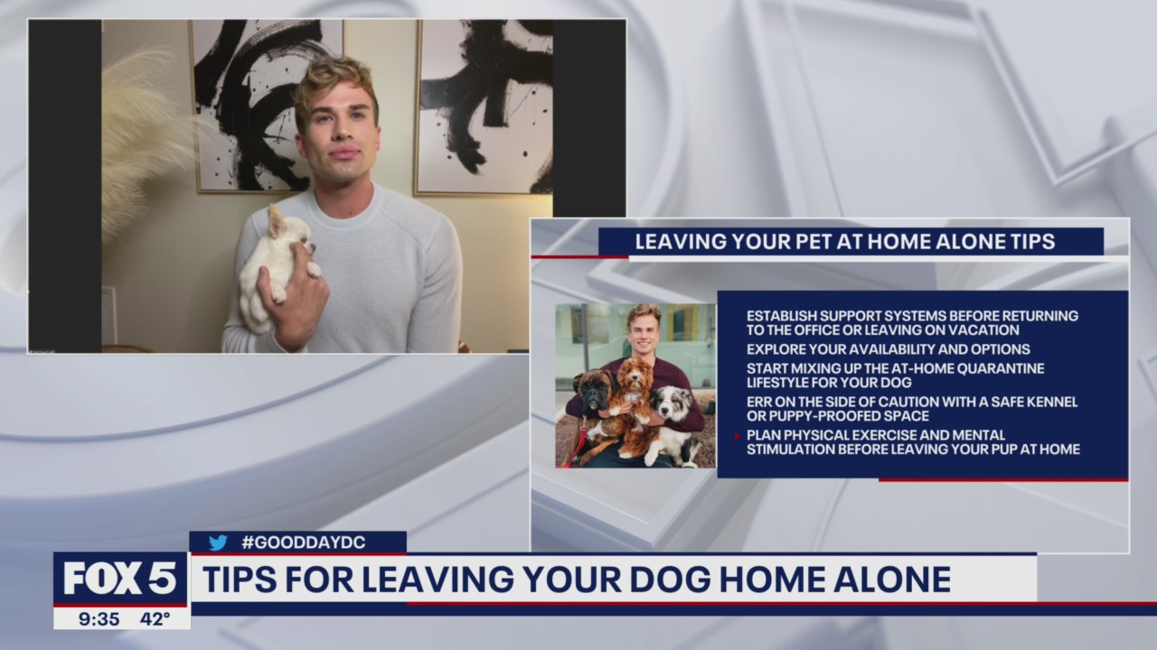Tips for leaving your pet at home alone