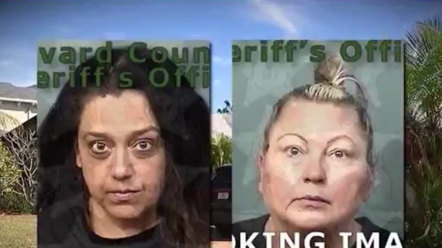 Gun, drugs and alcohol found at high school party