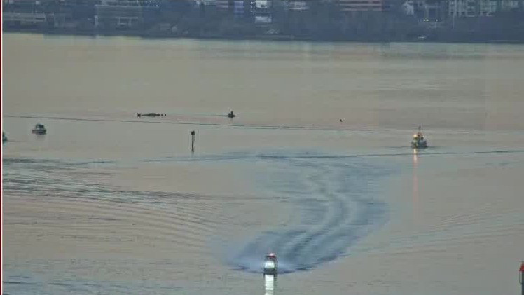 Multi-agency search, rescue underway after D.C. plane crash