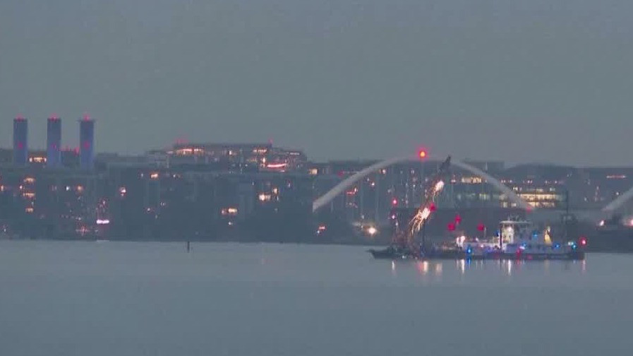 Search for those in deadly DC plane crash continues