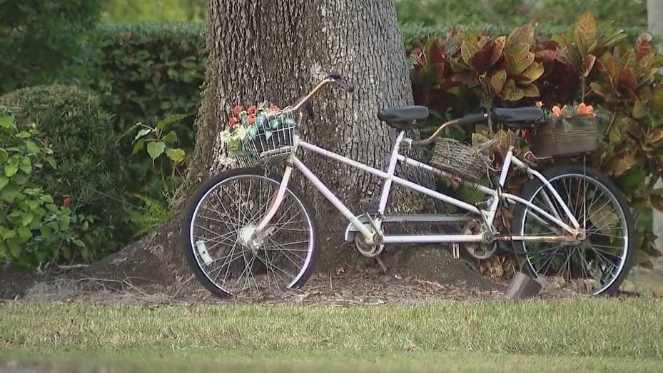 Orlando man arrested after allegedly robbing and beating elderly woman ...