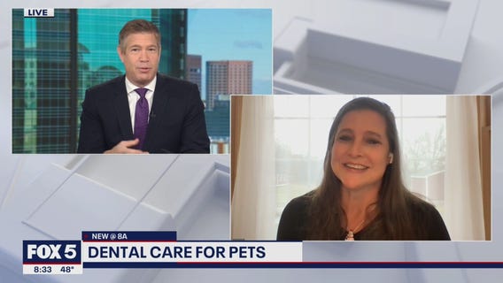 Dog dental care tips