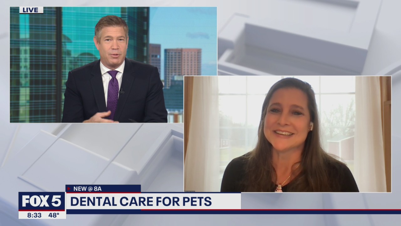 Dog dental care tips