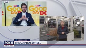 FOX 5 FIELD TRIP: The Capital Wheel