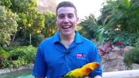 Meeting birds at Discovery Cove on National Weatherperson's Day