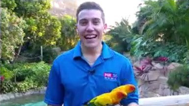 Meeting birds at Discovery Cove on National Weatherperson's Day