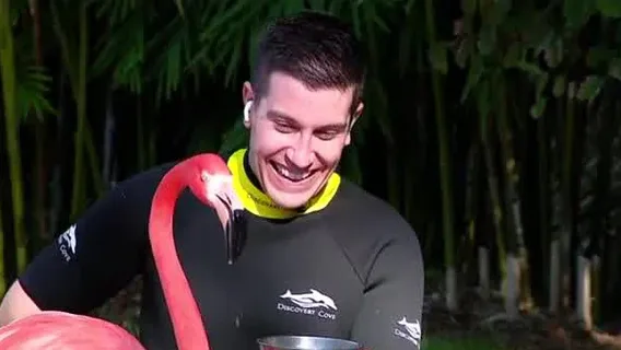 Feeding flamingos on National Weatherperson's Day