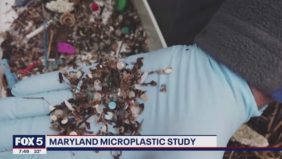 UMD studies microplastics in water