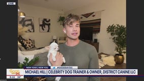 New Year?s 2022 resolutions for dog owners