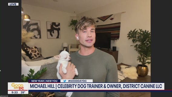 New Year?s 2022 resolutions for dog owners