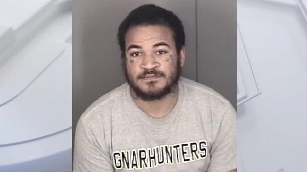 Brother of Florida mass school shooter arrested for trespassing