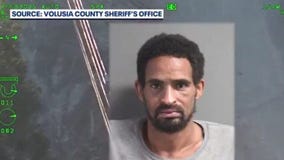 Wanted fugitive leads deputies on chase, gets taken down by K-9