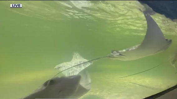 Daytona Aquarium & Rainforest Adventure