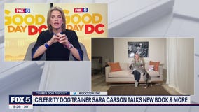 Teach your dog new tricks with celebrity dog trainer Sara Carson