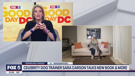 Teach your dog new tricks with celebrity dog trainer Sara Carson