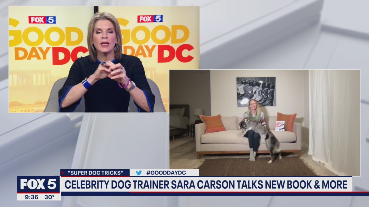 Teach your dog new tricks with celebrity dog trainer Sara Carson